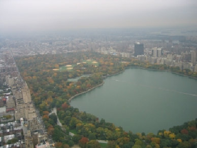 this shot taken just before landing in Central Park just beyond the pond