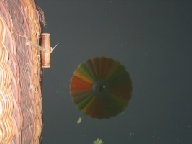 water reflection of me looking down diredtly under the balloon basket